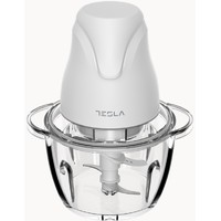 TESLA FC302W